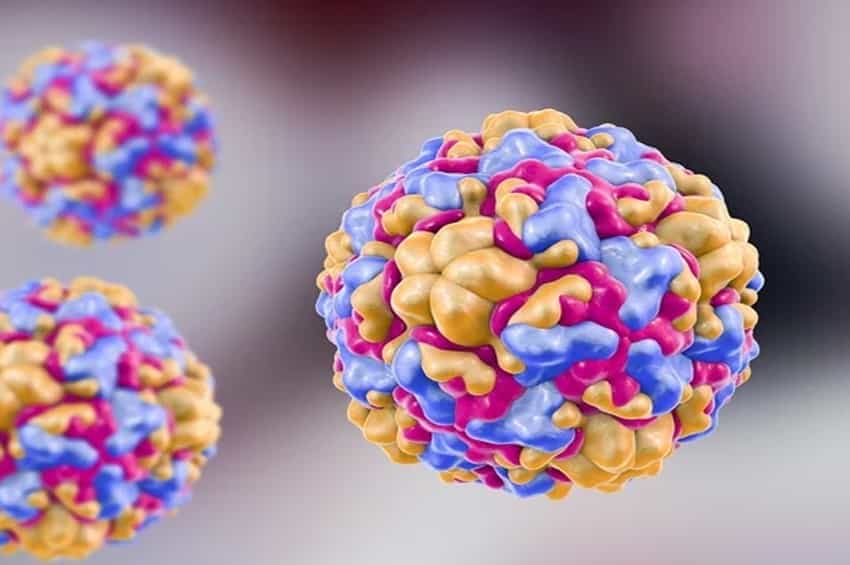 TORCH Syndrome Causes, Symptoms, Diagnosis, and Treatment Medichimp