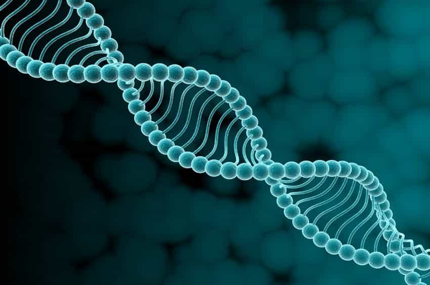 пусть бегут крокодил гена. бегут неуклюже крокодил гена. клетка днк. гены слушать. крокодил гена с днем рождения.